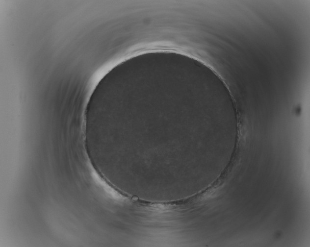 X0000111461527200907201101