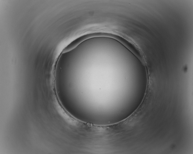 X0000111461528200907201101