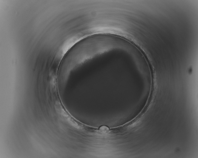 X0000111461529200907201102