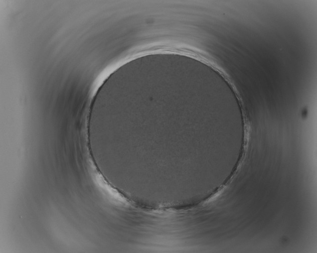 X0000111461530200907201102