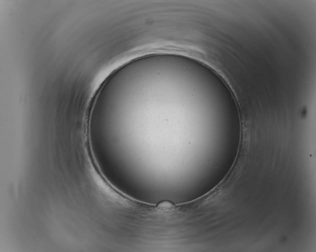 X0000111461531200907201102