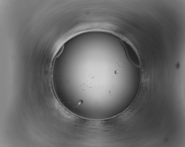 X0000111461532200907201102