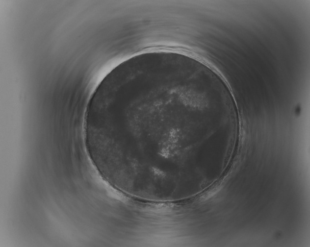 X0000111461533200907201102