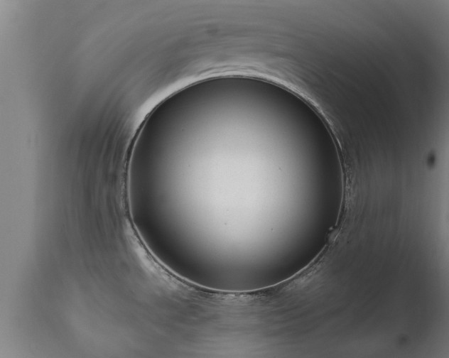 X0000111461534200907201102