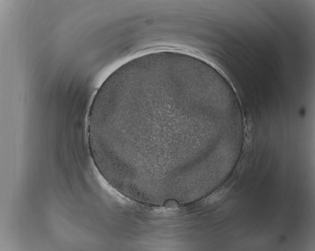 X0000111461535200907201102