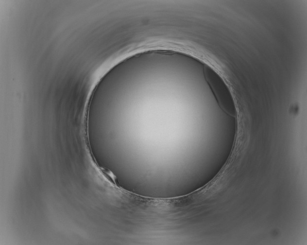 X0000111461536200907201102