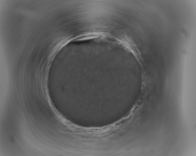X0000111460001200907271300