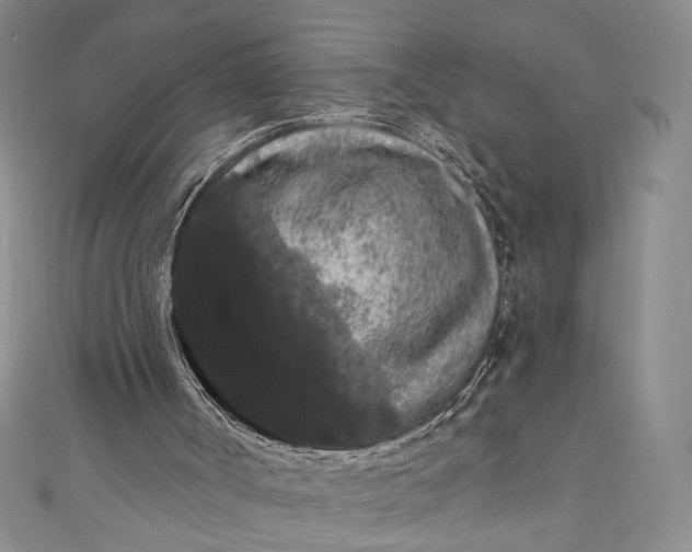 X0000111460002200907271300