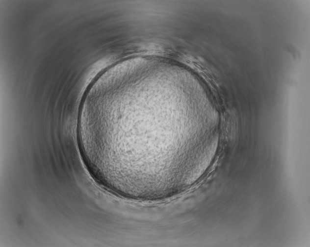 X0000111460003200907271300