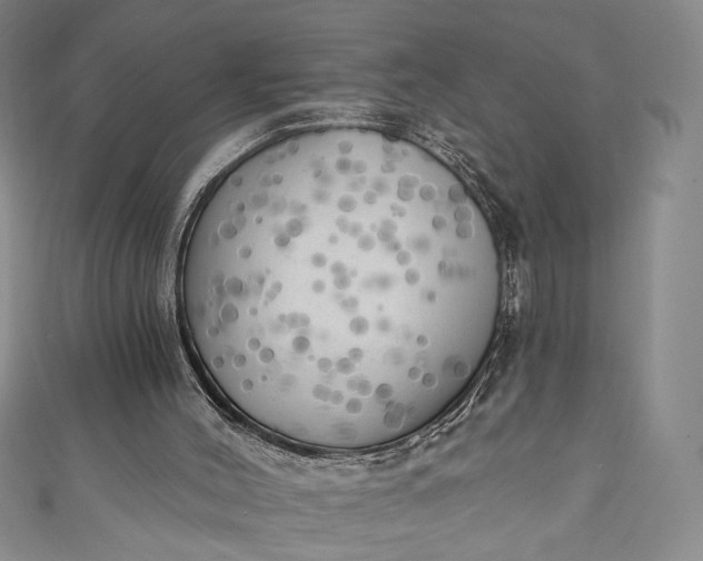 X0000111460004200907271300