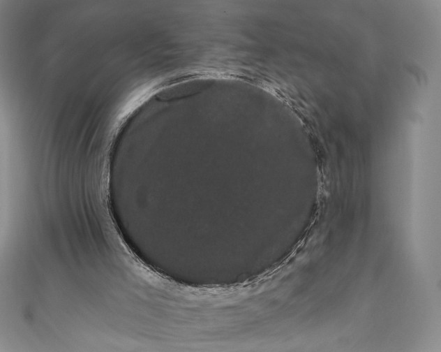 X0000111460005200907271300