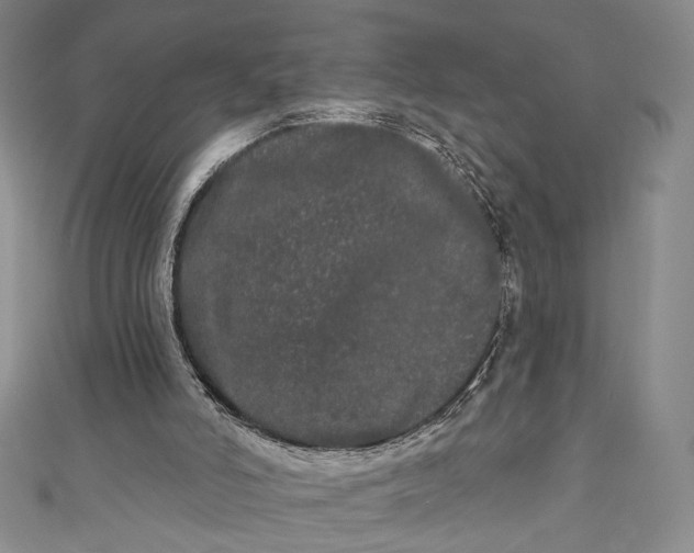 X0000111460006200907271300