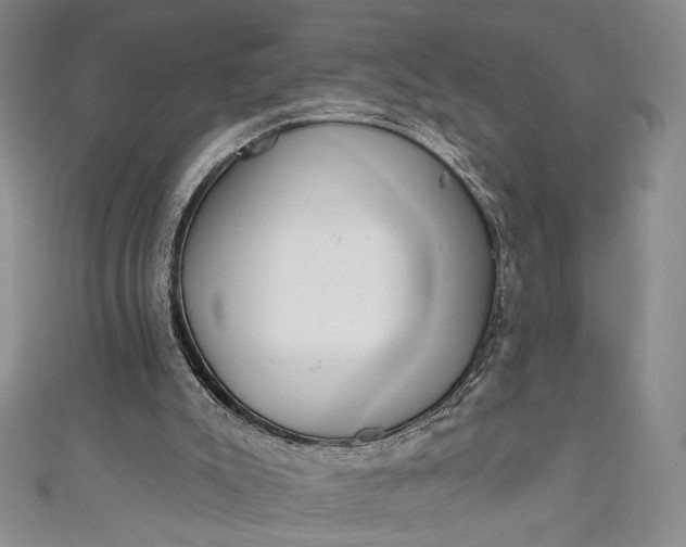 X0000111460007200907271300