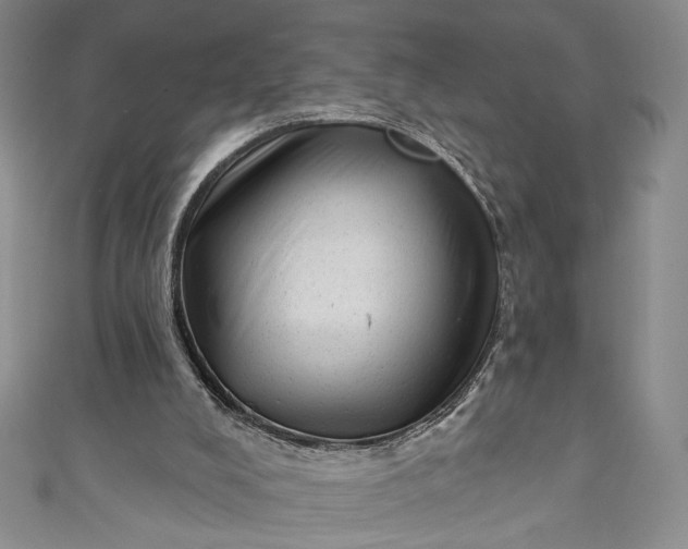 X0000111460008200907271300