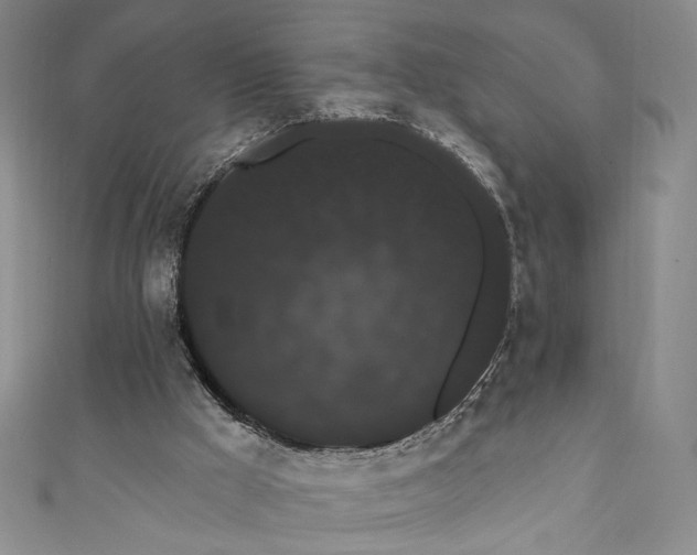 X0000111460009200907271300