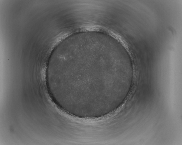 X0000111460010200907271300