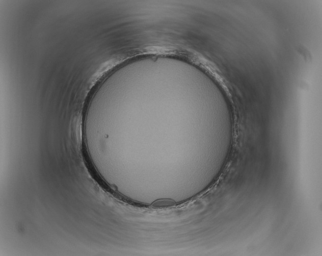 X0000111460011200907271300