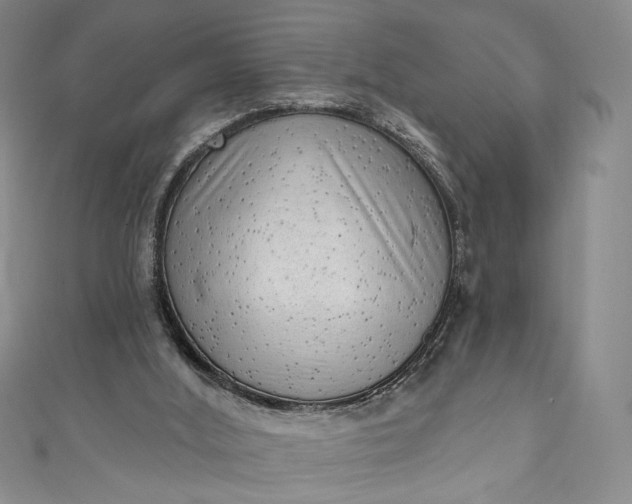 X0000111460012200907271300
