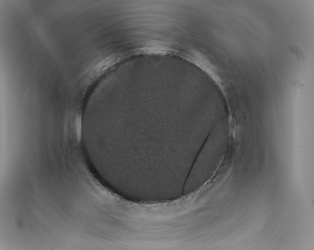 X0000111460013200907271300