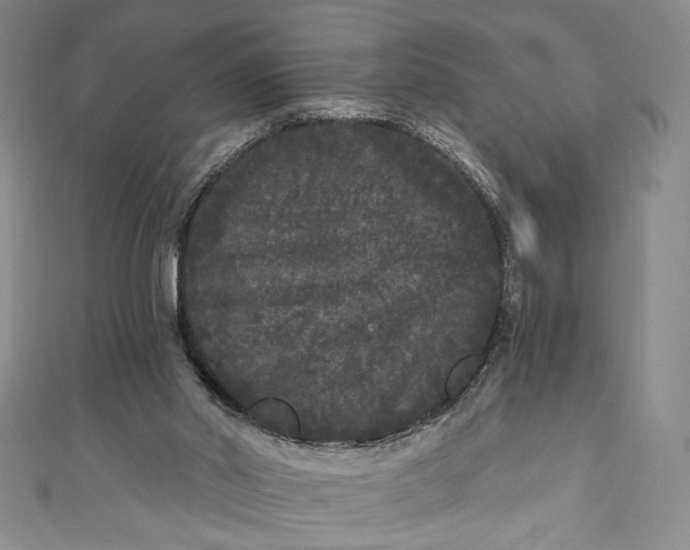X0000111460014200907271300