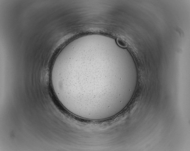 X0000111460016200907271300
