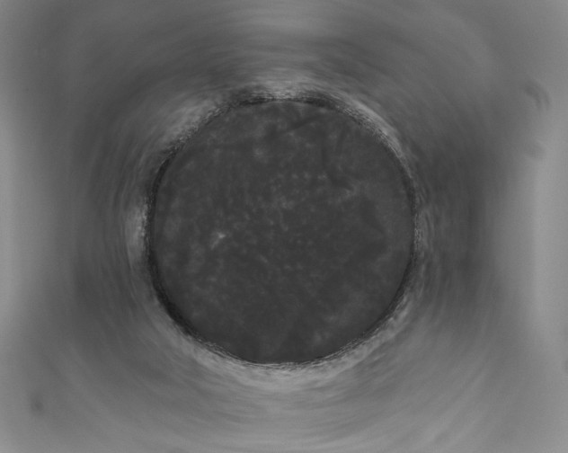 X0000111460018200907271300