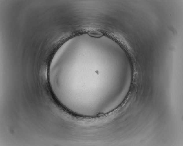 X0000111460021200907271300