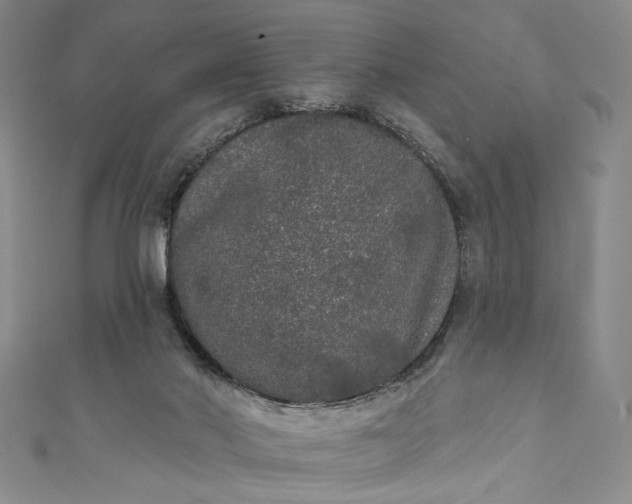 X0000111460022200907271300