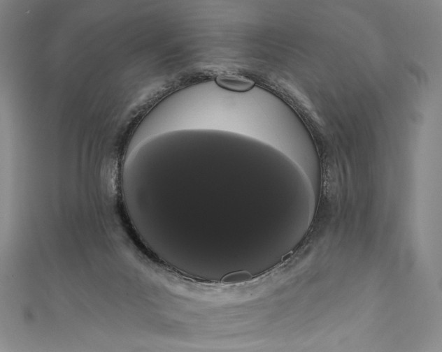 X0000111460023200907271300