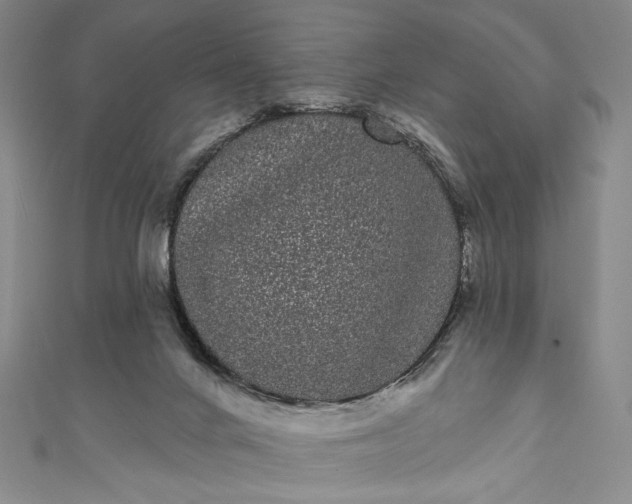 X0000111460024200907271300