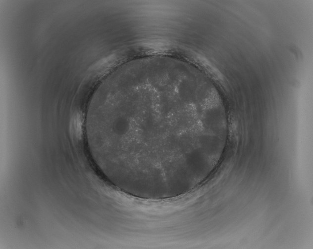 X0000111460026200907271300