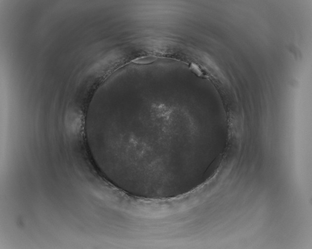 X0000111460029200907271300