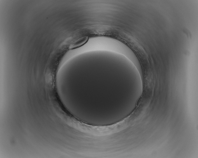 X0000111460031200907271300