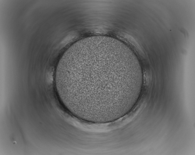 X0000111460032200907271300