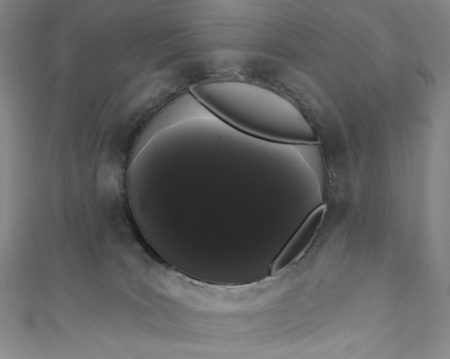 X0000111460035200907271300
