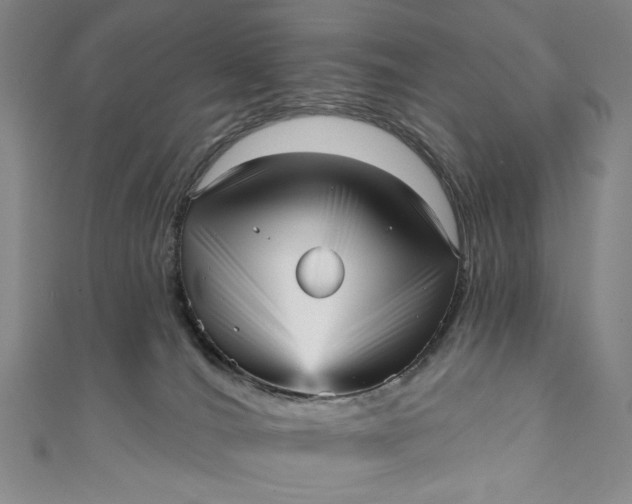 X0000111460036200907271300
