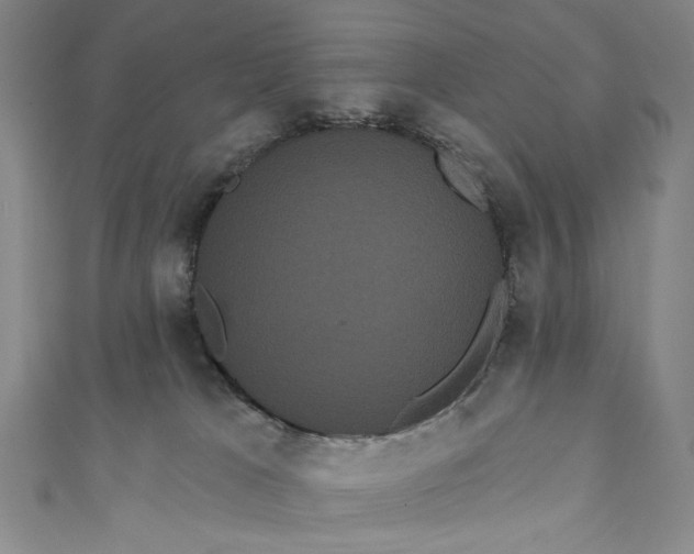 X0000111460037200907271300