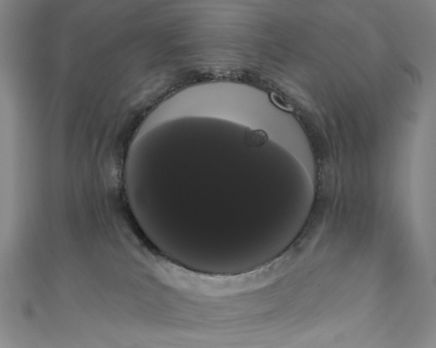 X0000111460039200907271300