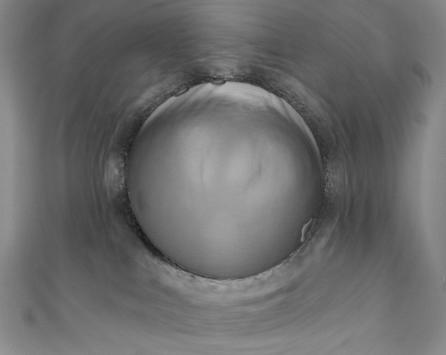 X0000111460043200907271300