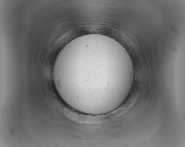 X0000111460044200907271300