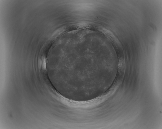 X0000111460046200907271300