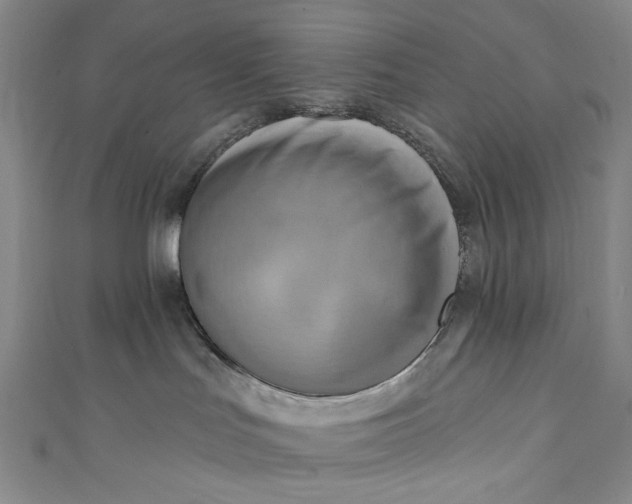 X0000111460047200907271300