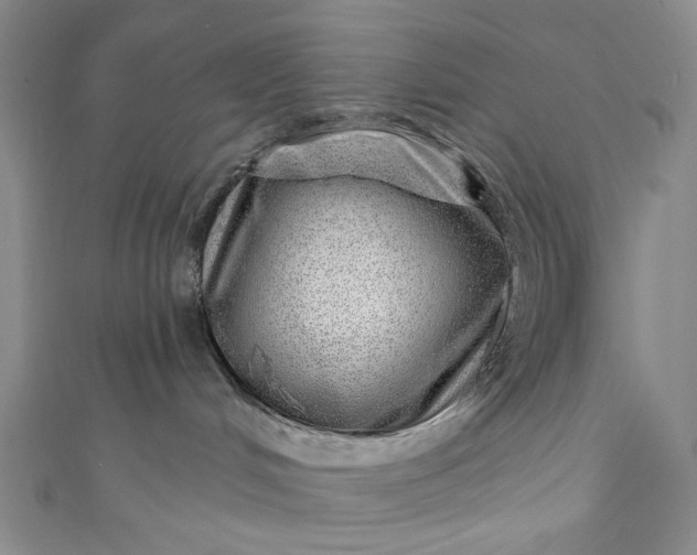 X0000111460048200907271300