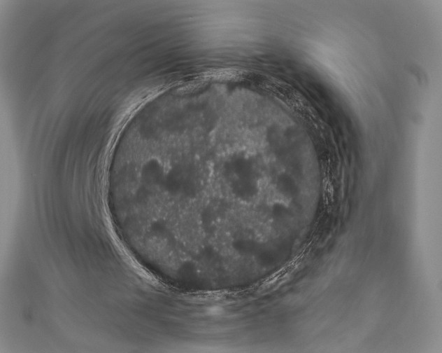 X0000111460049200907271259