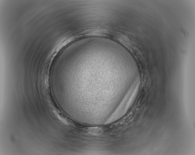 X0000111460050200907271259