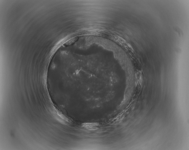 X0000111460051200907271259