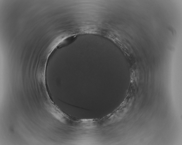X0000111460052200907271259