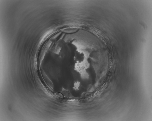 X0000111460053200907271259