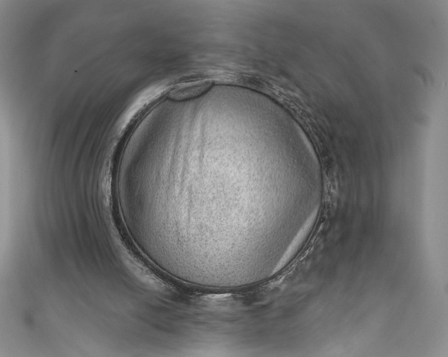 X0000111460054200907271259