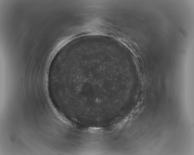 X0000111460055200907271259